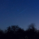 Foto: Tucker Hammerstrom / Flickr bajo licencia Creative Commons